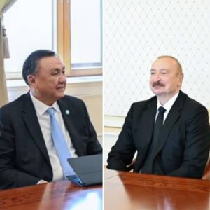 В Баку состоялась встреча Генерального секретаря ОТГ с Президентом Азербайджана